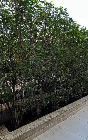 Apartamento à venda com 115m², 2 quartos e 1 vaga Apartamento à venda com 115m², 2 quartos e 1 vagaVaranda