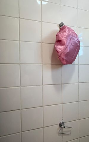 Apartamento à venda com 49m², 2 quartos e 1 vaga Apartamento à venda com 49m², 2 quartos e 1 vagaBanheiro