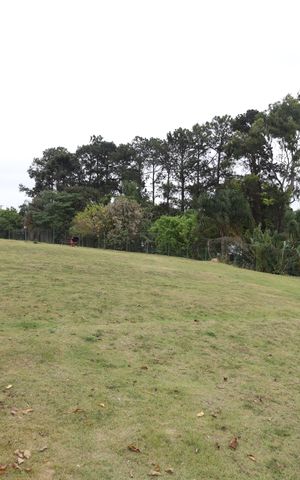 Apartamento à venda com 47m², 2 quartos e 1 vagaÁrea comum - Área Pet