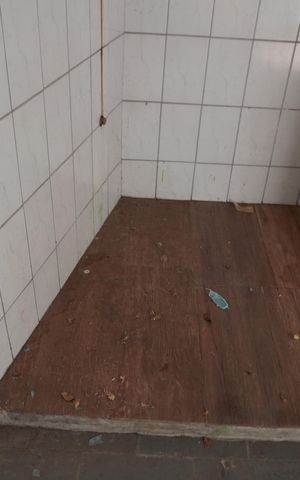 Casa para alugar com 205m², 3 quartos e 4 vagasQuintal