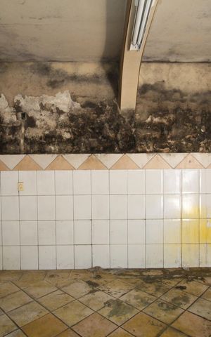 Casa à venda com 300m², 3 quartos e 2 vagasGaragem