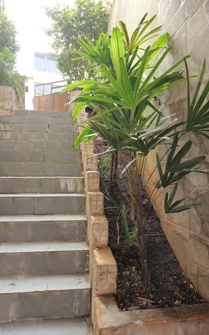 Casa à venda com 235m², 4 quartos e 2 vagasEntrada