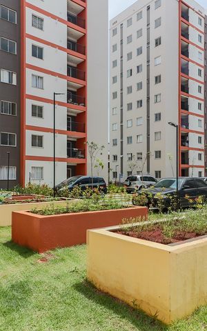 Apartamento à venda com 37m², 2 quartos e sem vaga Apartamento à venda com 37m², 2 quartos e sem vagaHorta