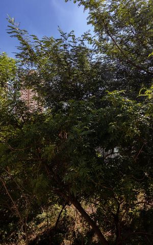 Casa para alugar com 133m², 8 quartos e 1 vagaSuíte 2 - Vista
