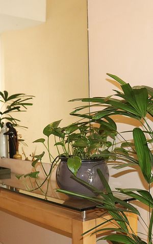 Apartamento à venda com 52m², 1 quarto e 1 vagaHall Social