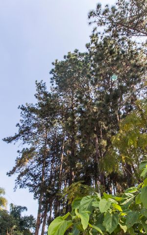 Casa de condomínio para alugar com 450m², 5 quartos e 4 vagasÁrea comum