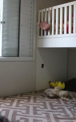 Apartamento à venda com 60m², 3 quartos e 1 vagaQuarto 3