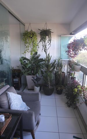 Apartamento à venda com 93m², 3 quartos e 2 vagasSala