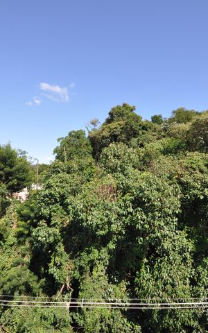 Apartamento à venda com 33m², 1 quarto e sem vagaVista do Quarto