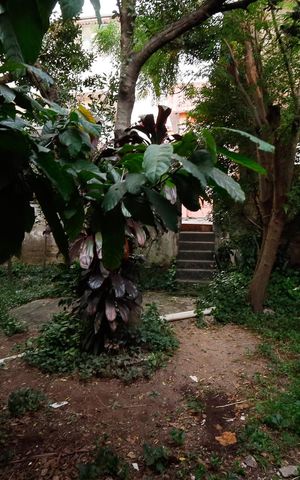 Casa à venda com 320m², 4 quartos e 3 vagas Casa à venda com 320m², 4 quartos e 3 vagasQuintal