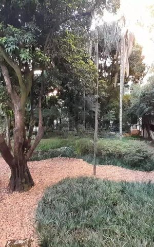 Apartamento à venda com 450m², 5 quartos e 4 vagas
