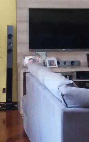 Apartamento à venda com 305m², 4 quartos e 2 vagas