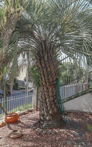 Casa à venda com 223m², 4 quartos e 3 vagasFachada