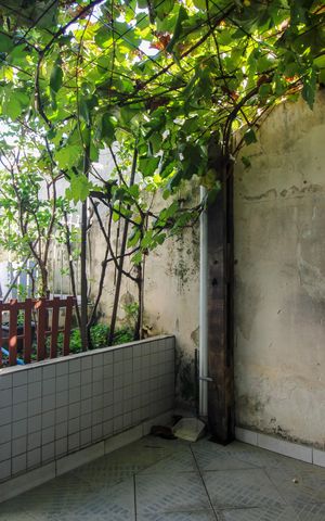 Casa à venda com 359m², 4 quartos e 2 vagas Casa à venda com 359m², 4 quartos e 2 vagasárea de serviço externa