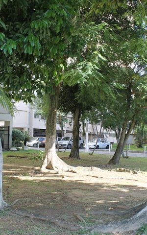 Apartamento para alugar com 65m², 2 quartos e 1 vagaÁrea comum