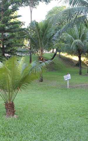 Apartamento para alugar com 65m², 2 quartos e 1 vagaarea