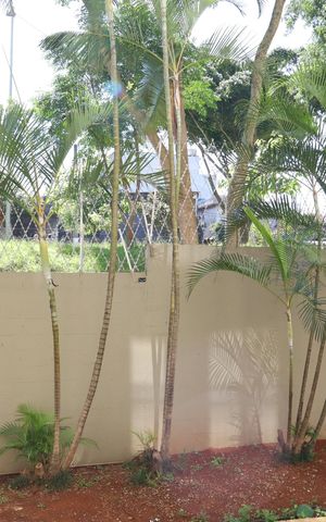 Apartamento à venda com 64m², 2 quartos e 1 vagaárea de serviço - Vista