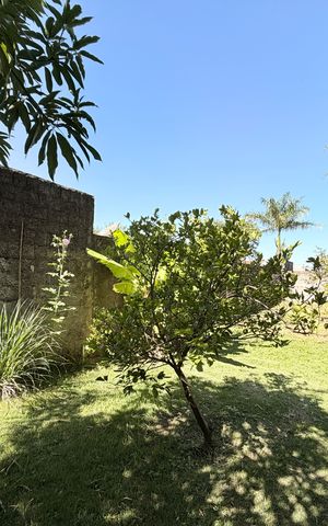 Casa à venda com 250m², 3 quartos e 2 vagasÁrea de mata atras da casa