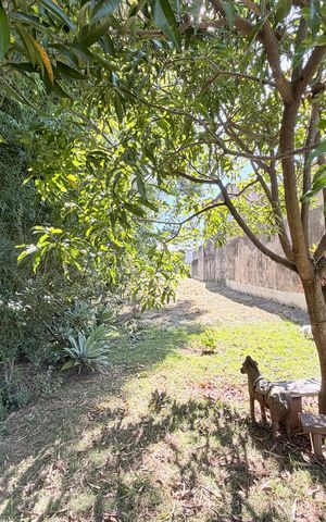 Casa à venda com 250m², 3 quartos e 2 vagasÁrea de mata atras da casa