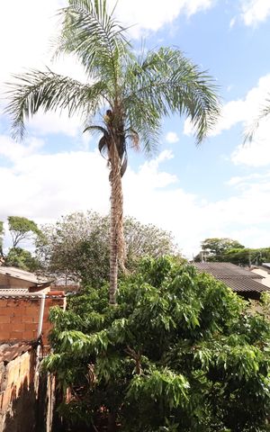 Apartamento para alugar com 55m², 2 quartos e 1 vagaVista