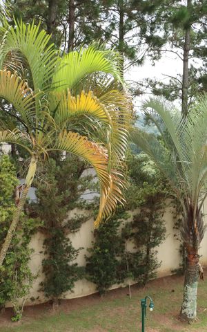 Casa de condomínio para alugar com 517m², 5 quartos e 4 vagasÁrea comum