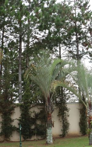 Casa de condomínio para alugar com 517m², 5 quartos e 4 vagasÁrea comum