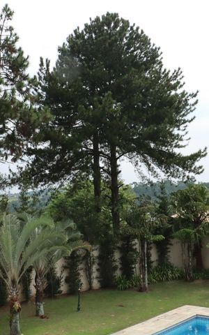 Casa de condomínio para alugar com 517m², 5 quartos e 4 vagasÁrea comum