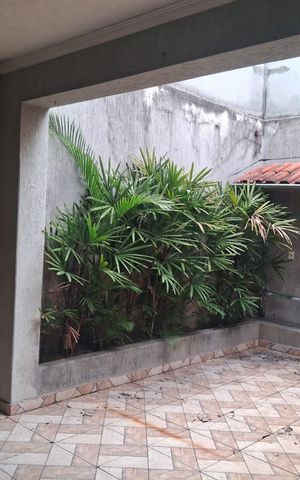 Casa à venda com 200m², 4 quartos e 2 vagas Casa à venda com 200m², 4 quartos e 2 vagasÁrea externa