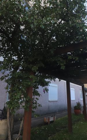 Apartamento à venda com 63m², 2 quartos e 1 vagaÁrea comum