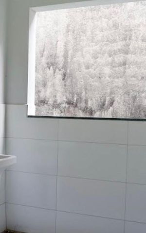 Casa para alugar com 50m², 1 quarto e sem vaga Casa para alugar com 50m², 1 quarto e sem vagaÁrea de Serviço