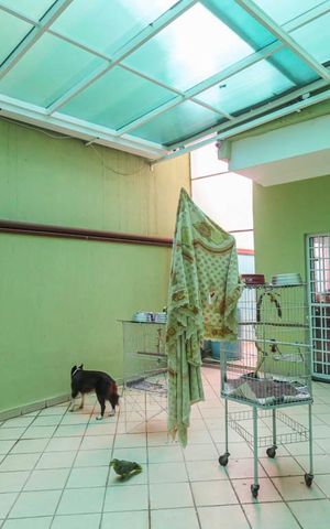 Casa à venda com 500m², 3 quartos e 2 vagas