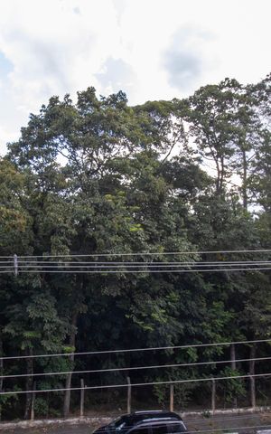 Casa à venda com 330m², 3 quartos e 4 vagasVista da Suíte 2
