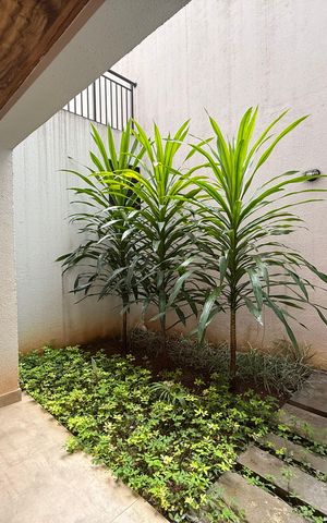 Studio à venda com 41m², 1 quarto e sem vaga Studio à venda com 41m², 1 quarto e sem vagaarea verde