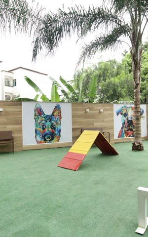 Apartamento à venda com 63m², 2 quartos e 1 vagaÁrea Comum