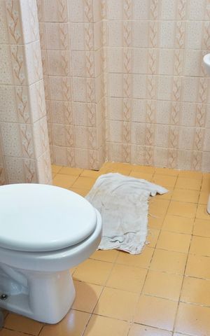 Apartamento para alugar com 69m², 2 quartos e 1 vaga Apartamento para alugar com 69m², 2 quartos e 1 vagaBanheiro Social