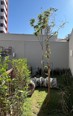 Studio para alugar com 26m², 1 quarto e sem vaga Studio para alugar com 26m², 1 quarto e sem vagaPetplace