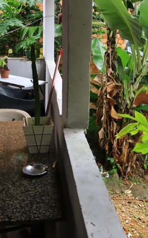 Casa para alugar com 120m², 2 quartos e 1 vagaQuintal
