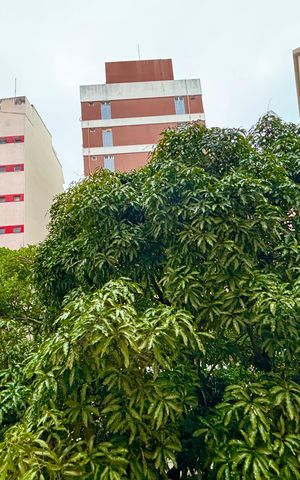 Apartamento à venda com 86m², 2 quartos e 1 vaga Apartamento à venda com 86m², 2 quartos e 1 vagaSala - vista