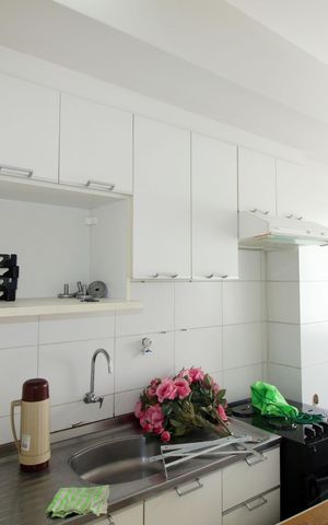 Apartamento à venda com 50m², 2 quartos e 1 vagaCozinha