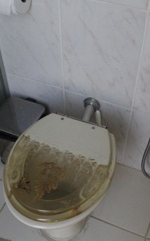 Apartamento à venda com 174m², 3 quartos e 3 vagasBanheiro Social