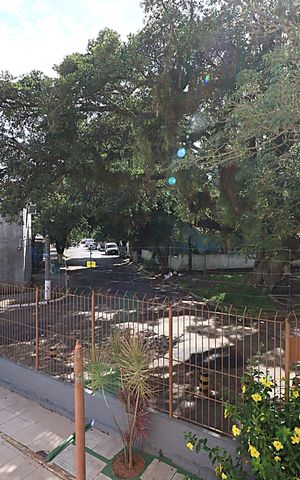 Apartamento à venda com 35m², 1 quarto e sem vagaVista da Área de serviço 