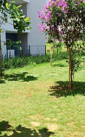 Apartamento para alugar com 35m², 2 quartos e sem vaga Apartamento para alugar com 35m², 2 quartos e sem vagaÁrea externa
