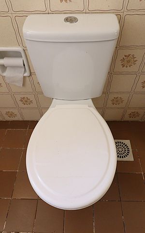 Apartamento para alugar com 73m², 2 quartos e sem vagaBanheiro