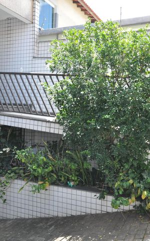 Casa à venda com 250m², 3 quartos e 9 vagasJardim