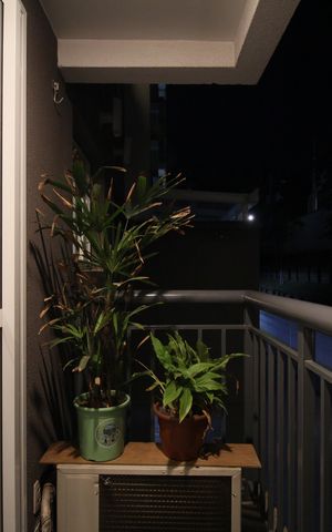 Apartamento à venda com 45m², 2 quartos e 1 vagaVaranda
