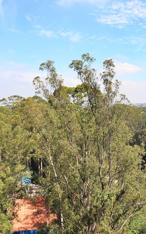Apartamento à venda com 70m², 3 quartos e 1 vagaQuarto 1 - Suíte Vista 