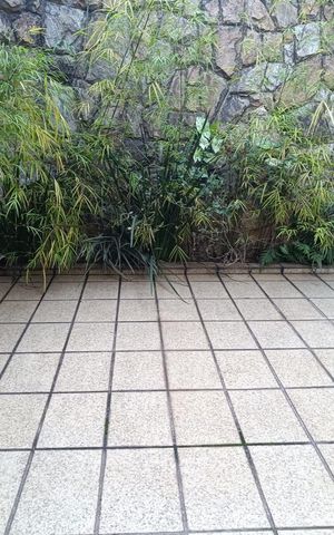 Casa à venda com 256m², 3 quartos e 5 vagasÁrea externa