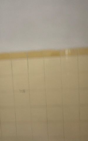 Casa para alugar com 170m², 2 quartos e 1 vaga