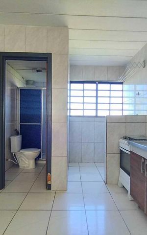 Apartamento para alugar com 50m², 1 quarto e sem vagaCozinha