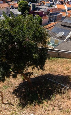 Casa à venda com 420m², 2 quartos e 5 vagasSalão - Vista
